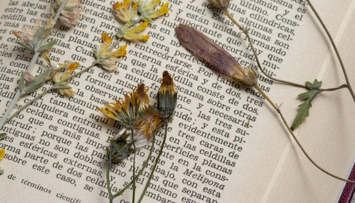 top-view-flower-press-with-book